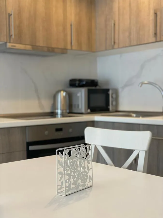 Apartament Luxury Flat In Chanioti 0*, Hanioti Grecja